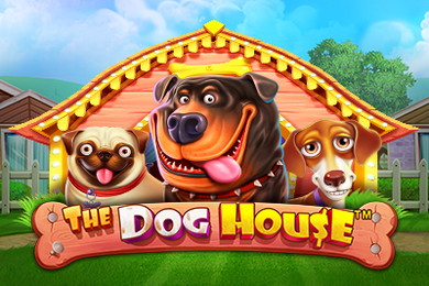The Dog House автомат Онион Казино
